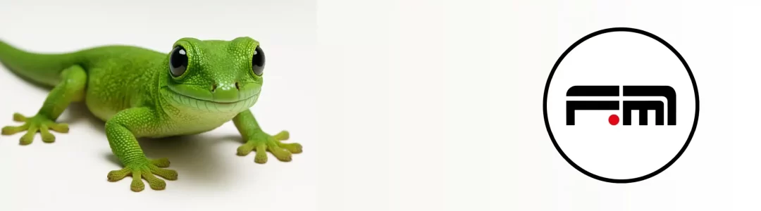 Gecko-Tape_Header